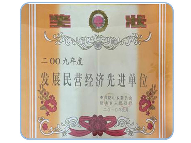 發(fā)展民營經(jīng)濟(jì)先進(jìn)單位